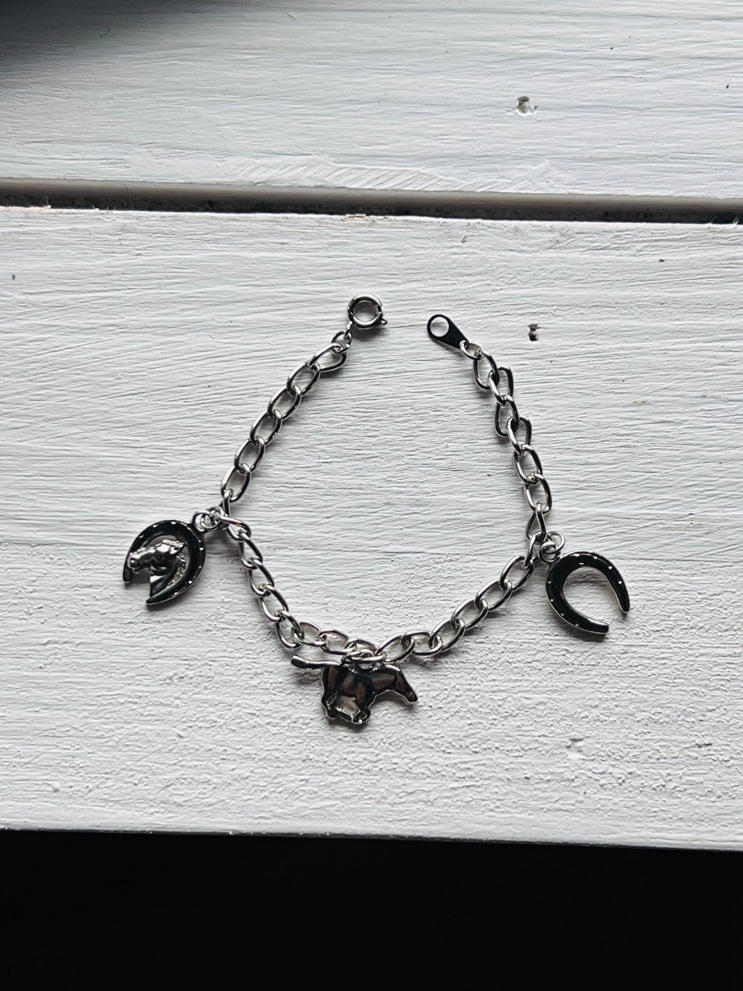 Equestrian Charm Bracelet - The Mustard Seed Collection, The Seed