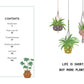 The Little Book for Plant Parents: Hardcover