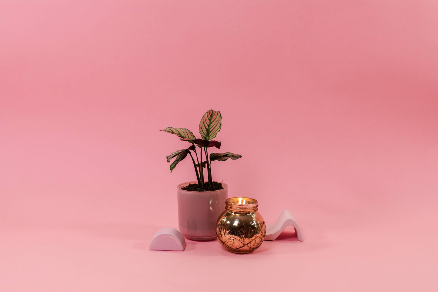 Sweet Grace Collection Candle #008 Bridgewater Candle Company