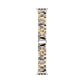 Claire Resin Band for Apple Watch: Light Natural Tortoise / Fits All Models Posh Tech