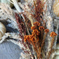 Fall Reed Oat Bouquet - The Mustard Seed Collection, The Seed