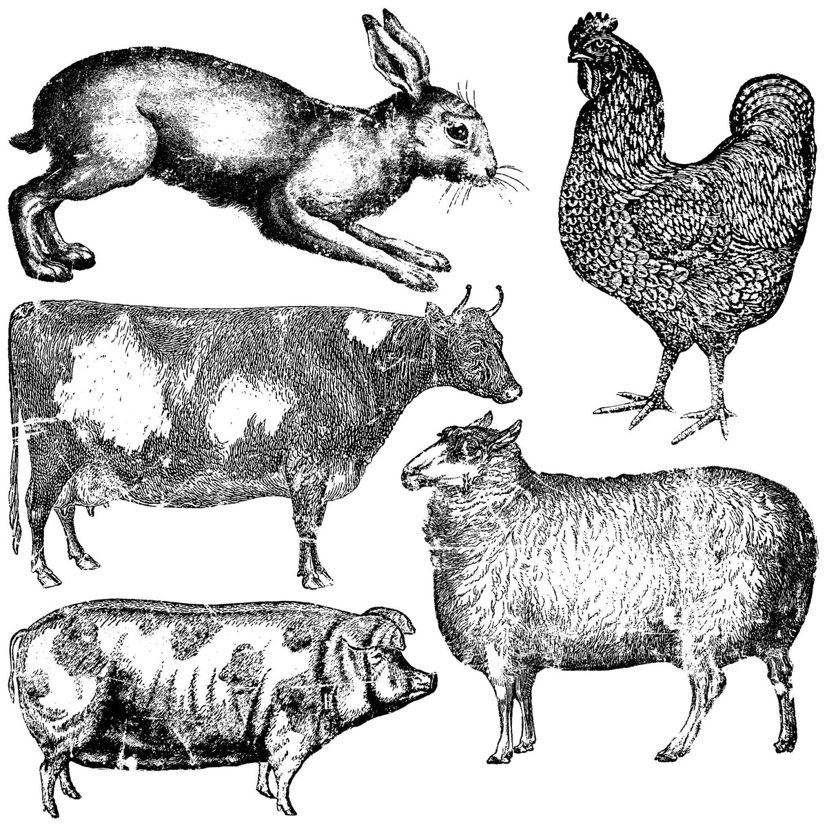 Farm Animals 12x12 Decor Stamp - The Mustard Seed Collection, The Seed