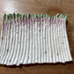 "Farm Stand" Asparagus Platter - The Mustard Seed Collection, The Seed