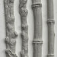 Faux Bois 6X10 IOD Mould