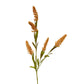 Faux Millet Spray - Orange - The Mustard Seed Collection, The Seed