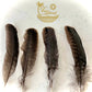 Feathers for Smudging - The Mustard Seed Collection, The Seed