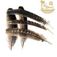 Feathers for Smudging - The Mustard Seed Collection, The Seed