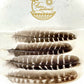 Feathers for Smudging - The Mustard Seed Collection, The Seed