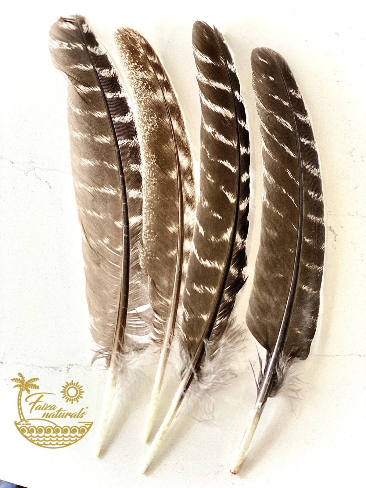 Feathers for Smudging - The Mustard Seed Collection, The Seed