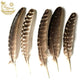 Feathers for Smudging - The Mustard Seed Collection, The Seed