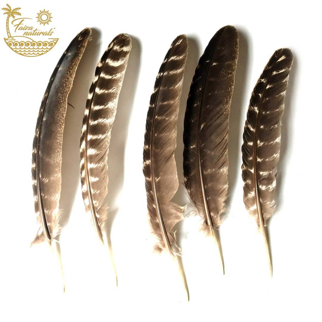 Feathers for Smudging - The Mustard Seed Collection, The Seed