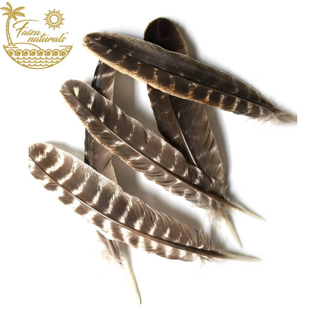 Feathers for Smudging - The Mustard Seed Collection, The Seed