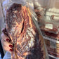 FL Grass Fed Grass Finished Ribeye Bone In Steak