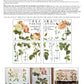 Flora Parisiensis 24x33 Decor Transfer