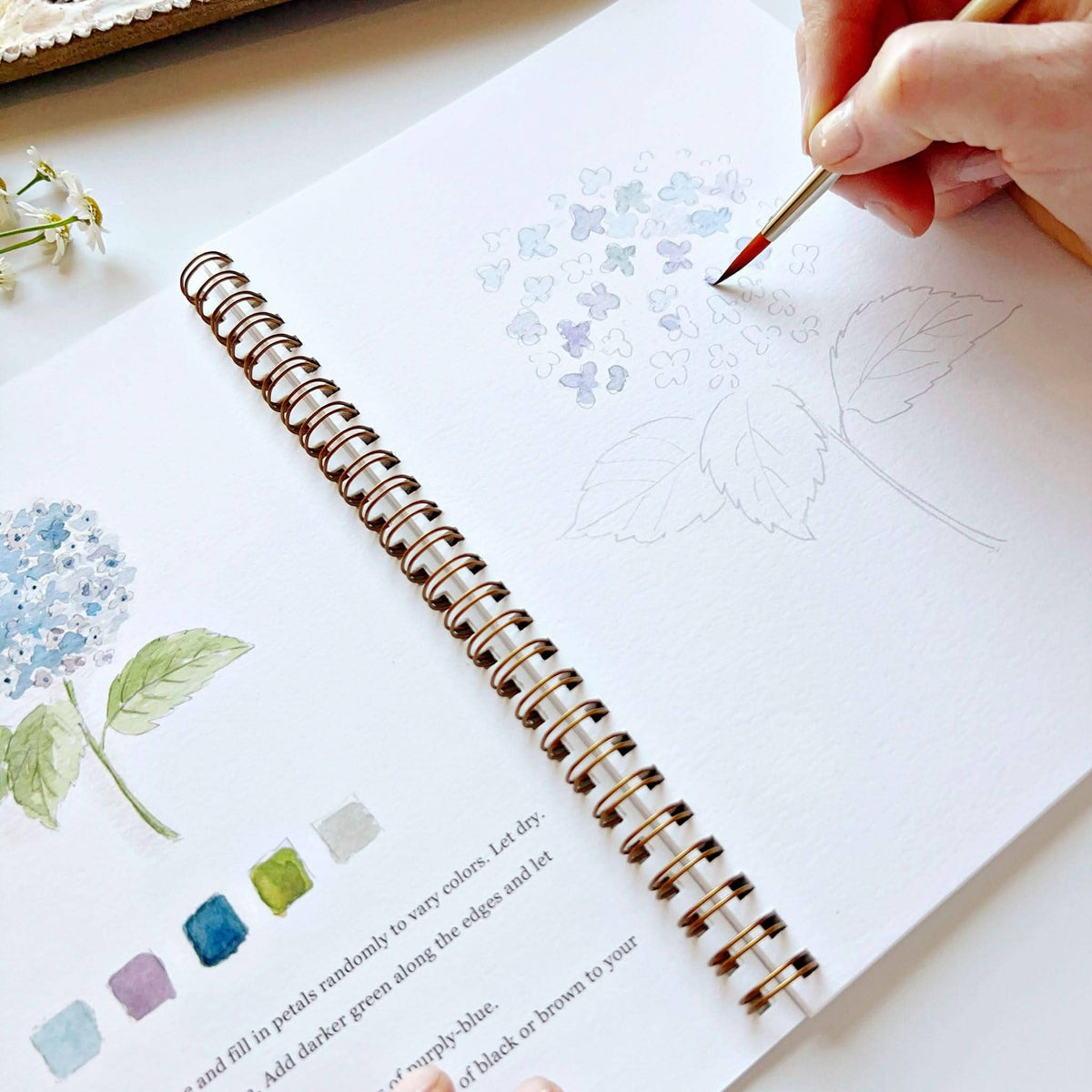 Flowers watercolor workbookcraft