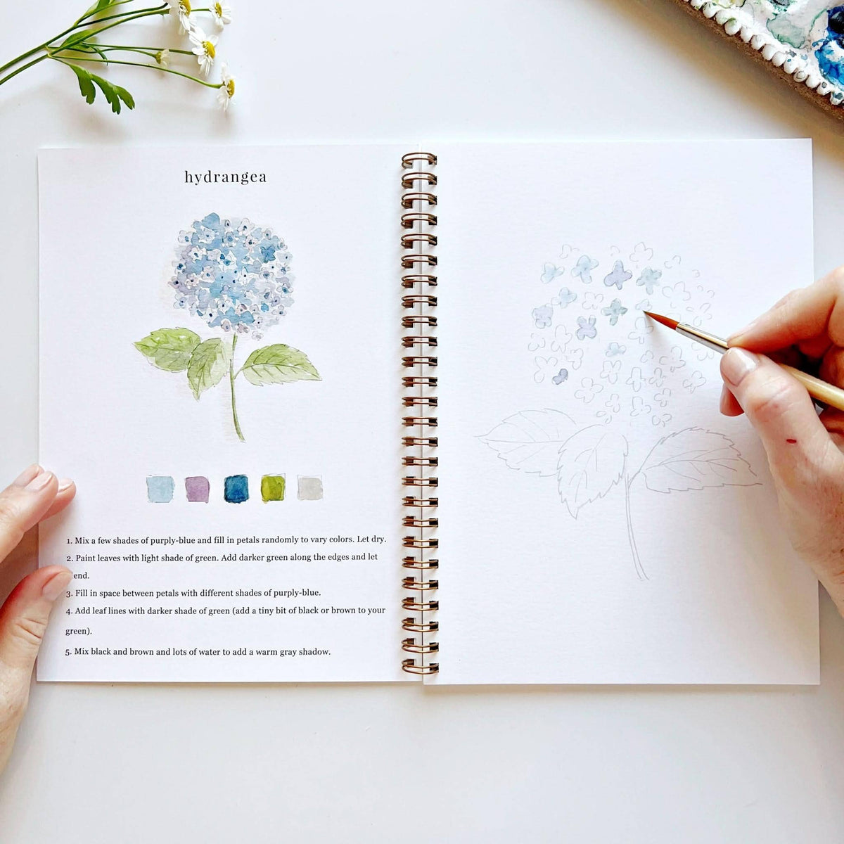Flowers watercolor workbookcraft