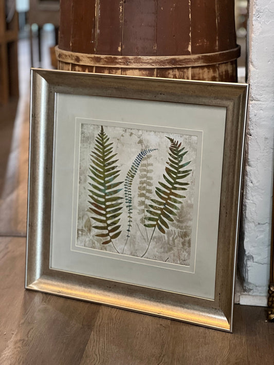 Framed Fern Print - The Mustard Seed Collection, The Seed