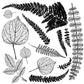 Frond 12x12 Decor Stamp