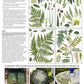 Fronds Botanical 24x33 Decor Transfer