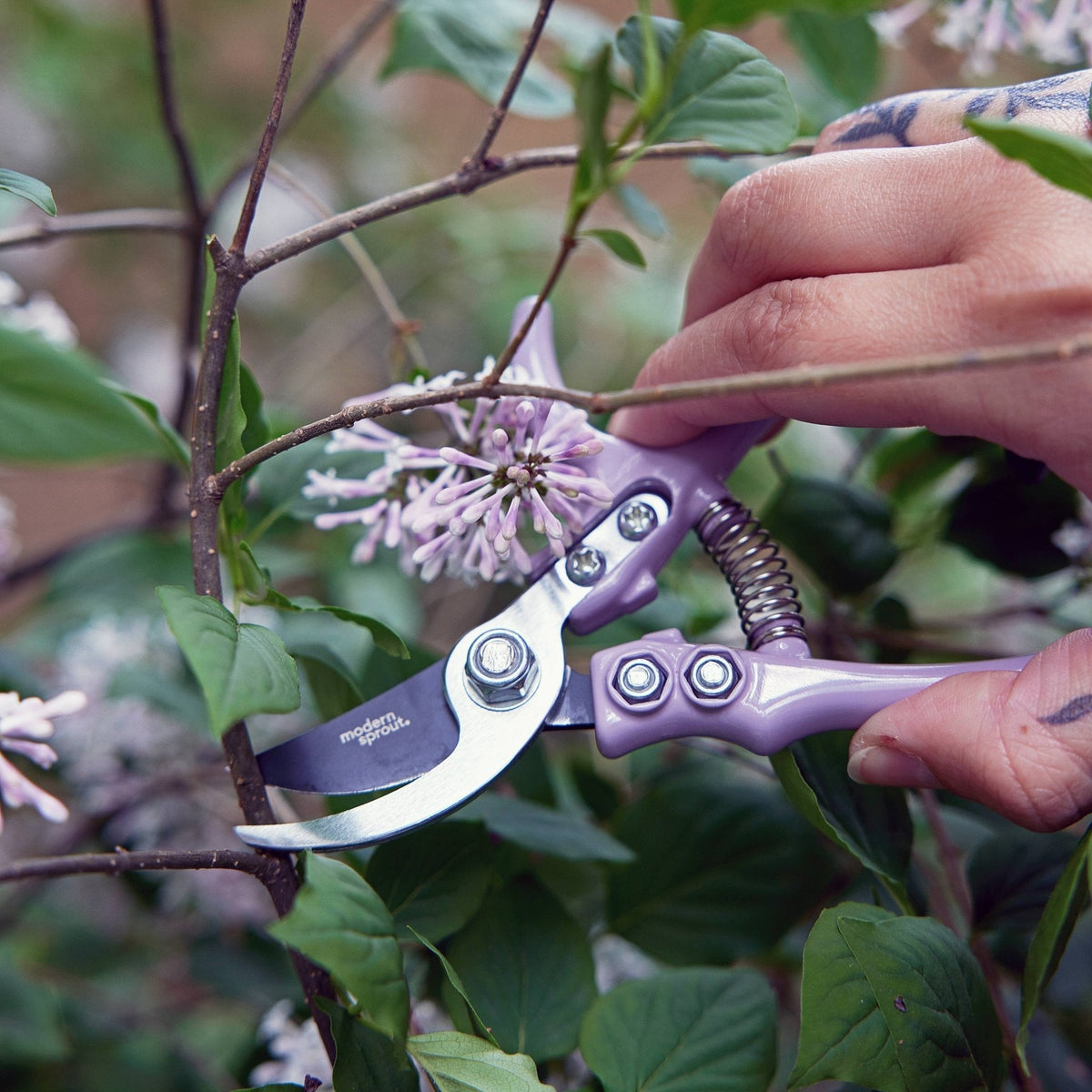 Garden Pruners: Chartreuse - The Mustard Seed Collection, The Seed