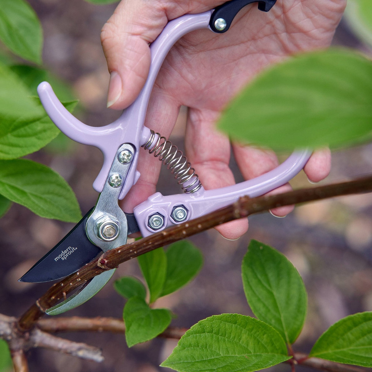 Garden Pruners: Chartreuse - The Mustard Seed Collection, The Seed