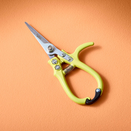 Garden Shears : Chartreuse