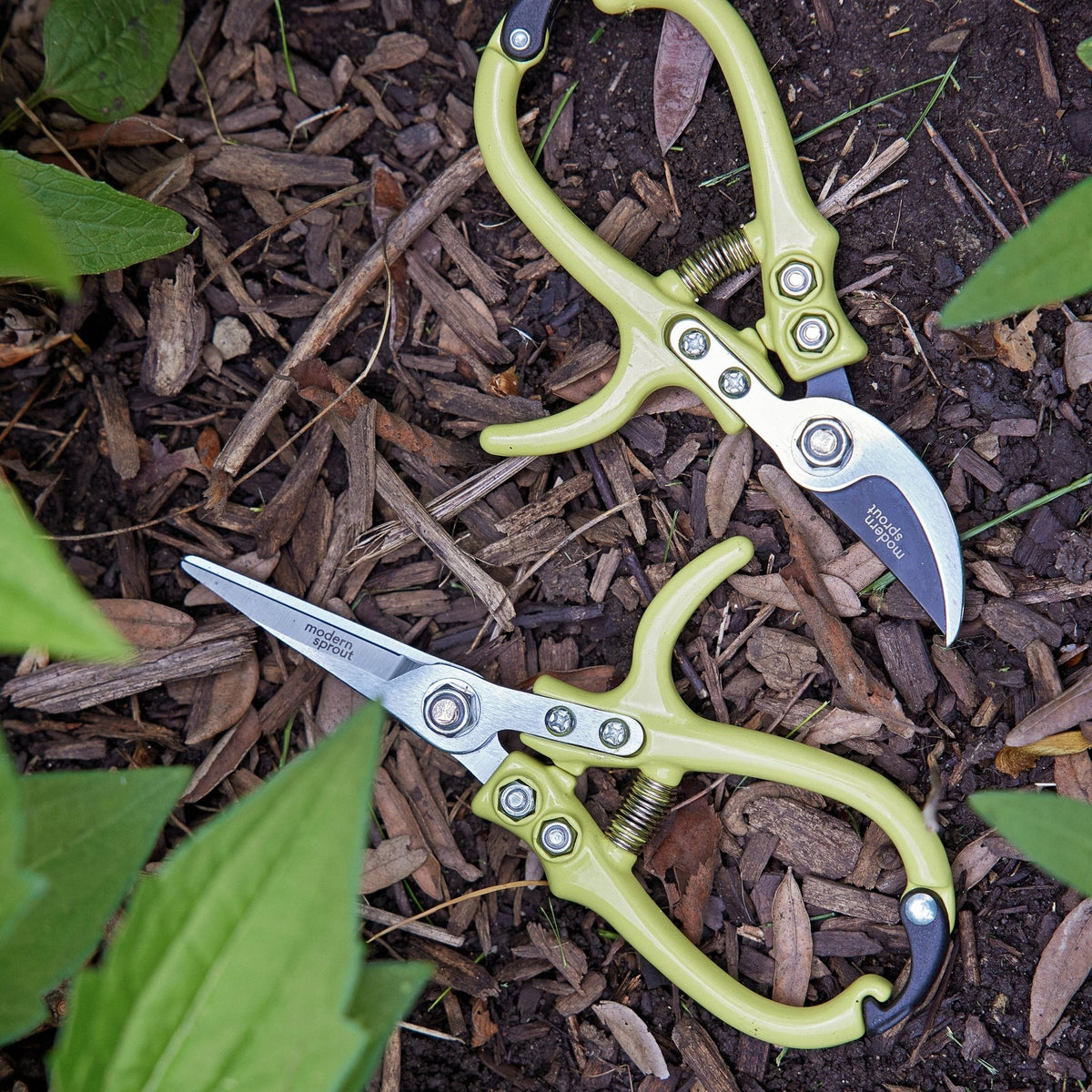 Garden Shears : Chartreuse - The Mustard Seed Collection, The Seed