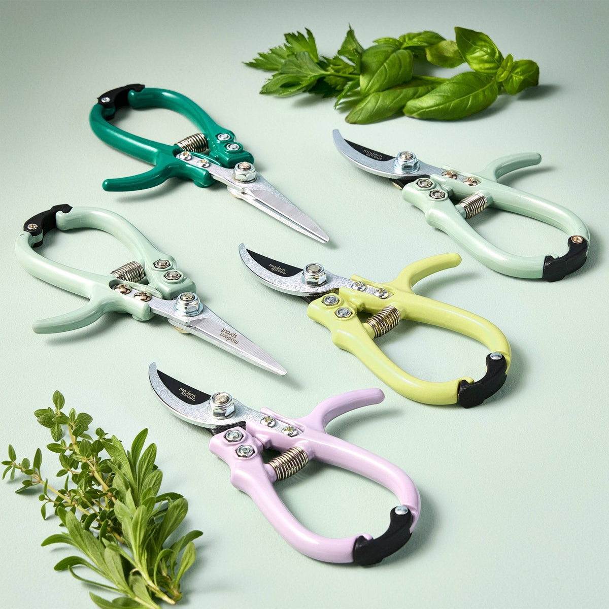 Garden Shears : Chartreuse - The Mustard Seed Collection, The Seed