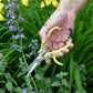 Garden Shears : Lavender - The Mustard Seed Collection, The Seed