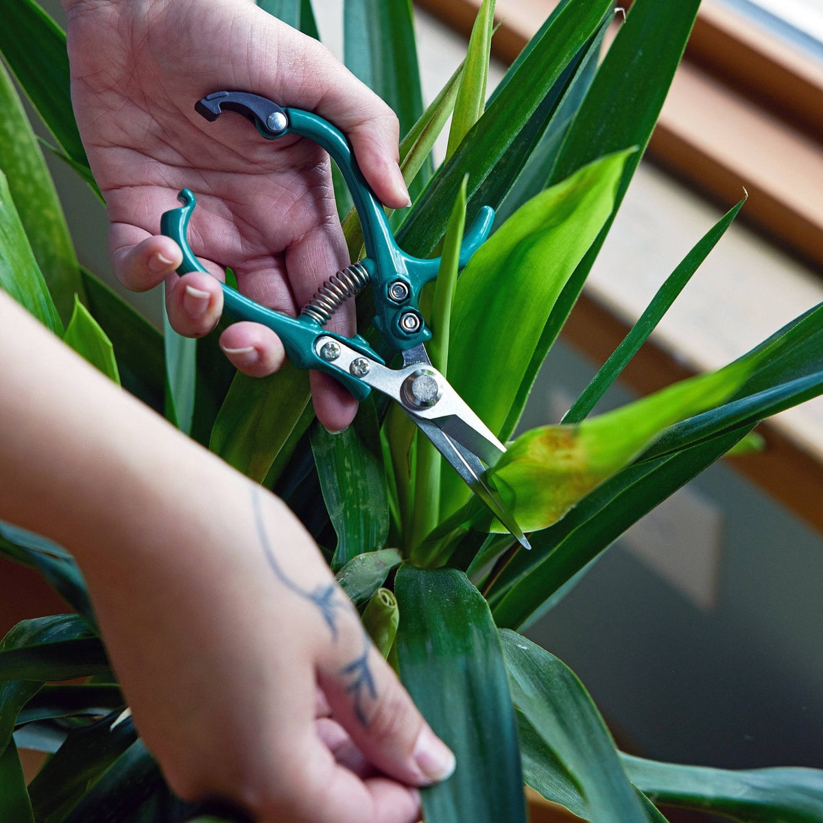Garden Shears : Lavender - The Mustard Seed Collection, The Seed