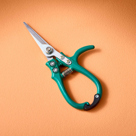 Garden Shears : Ocean - The Mustard Seed Collection, The Seed