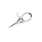 Garden Shears: Sage