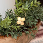 Gold-Toned Four Leaf Clover Necklace - The Mustard Seed Collection, The Seed