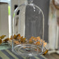 Grand Elegant Glass Display Cloche & Pedestal Pastry Stand (21"H x 10"D)cake stand