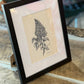 Graphite & Charcoal Drawings by Gina M. Singh Newbanks - The Mustard Seed Collection, The Seed