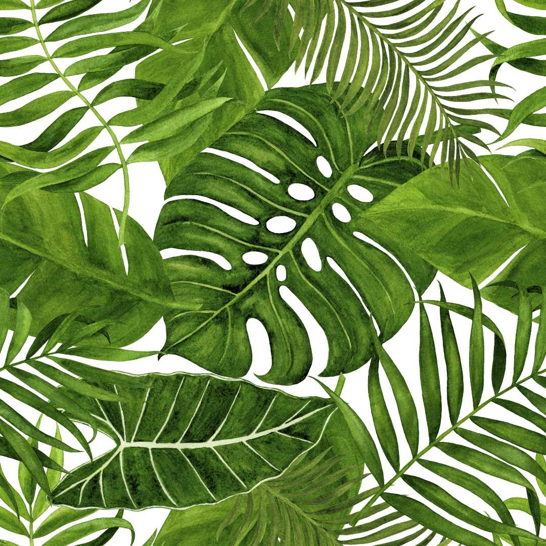 Green Leaves - Mint Tissue Paper - The Mustard Seed Collection, The Seed