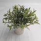 Greenery in White Pot 7_ - The Mustard Seed Collection, The Seed