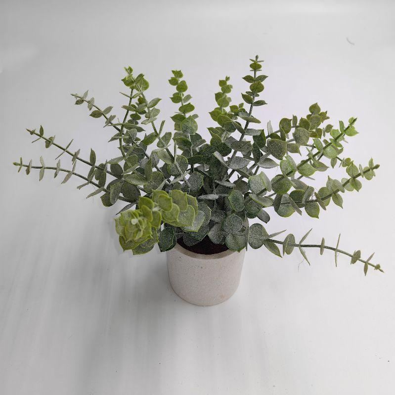Greenery in White Pot 9.5" - The Mustard Seed Collection, The Seed