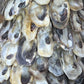 Handcrafted Coastal Oyster Shell Christmas Tree Topiary – 12" Tabletop Decor