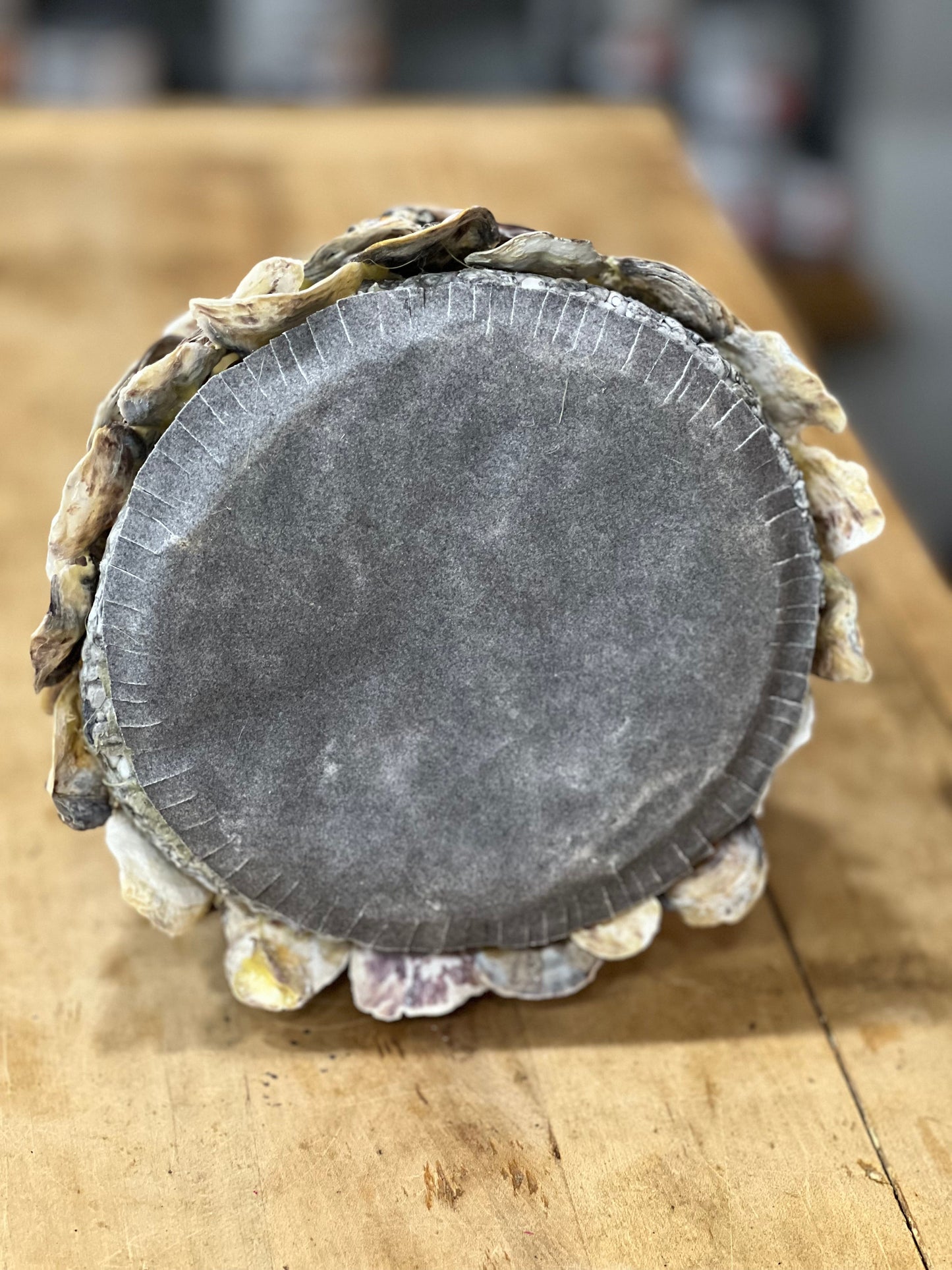 Handcrafted Coastal Oyster Shell Christmas Tree Topiary – 12" Tabletop Decor