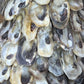 Handcrafted Coastal Oyster Shell Christmas Tree Topiary – 12" Tabletop Decor 