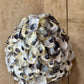 Handcrafted Coastal Oyster Shell Christmas Tree Topiary – 12" Tabletop Decor 