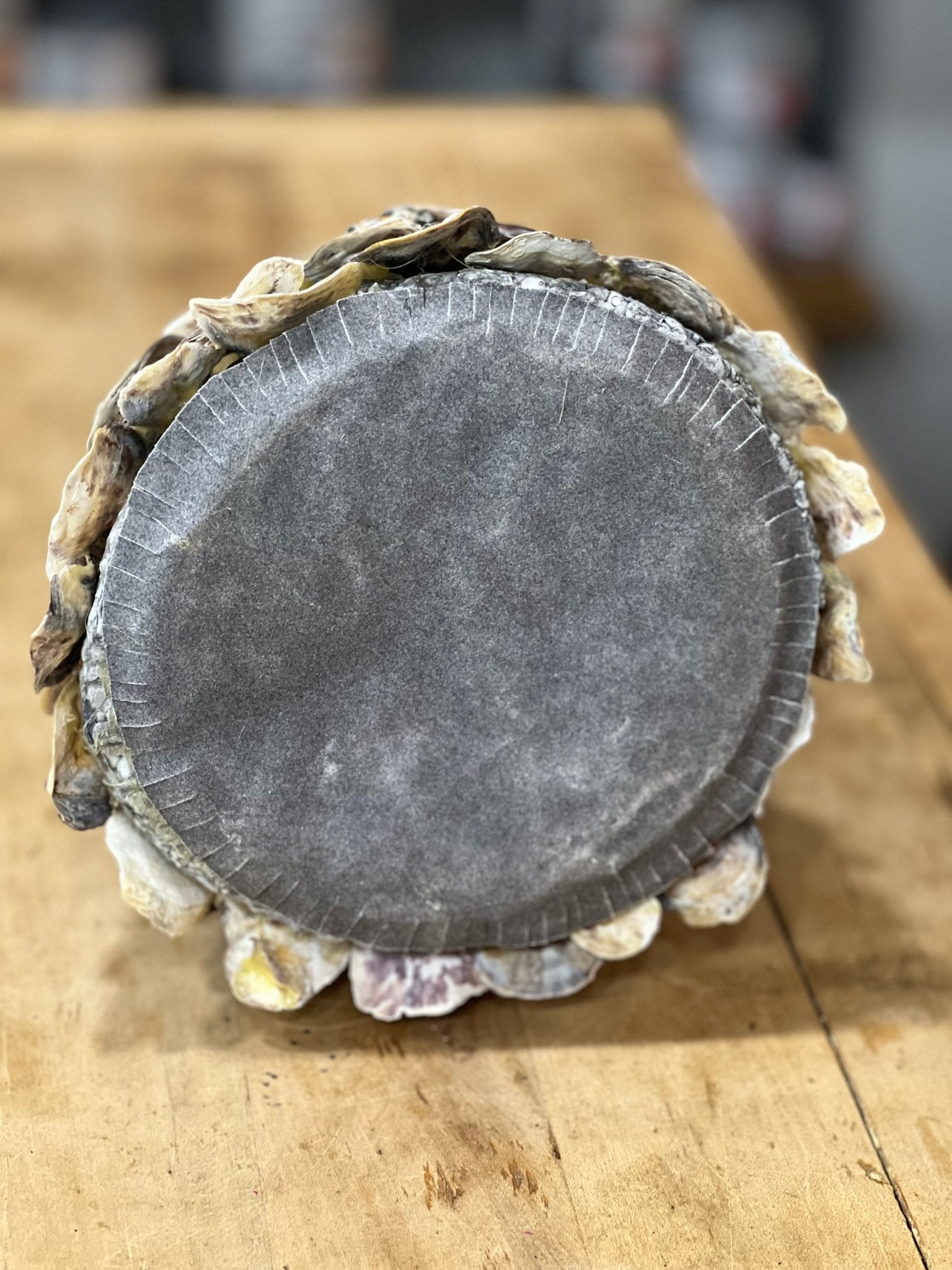 Handcrafted Coastal Oyster Shell Christmas Tree Topiary – 12" Tabletop Decor 