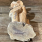 Handcrafted Wooden Man Playing Guitar - The Mustard Seed Collection, The Seed