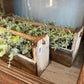 Handmade Tool Boxes Salvage Antique Home Salvage - The Mustard Seed Collection, The Seed