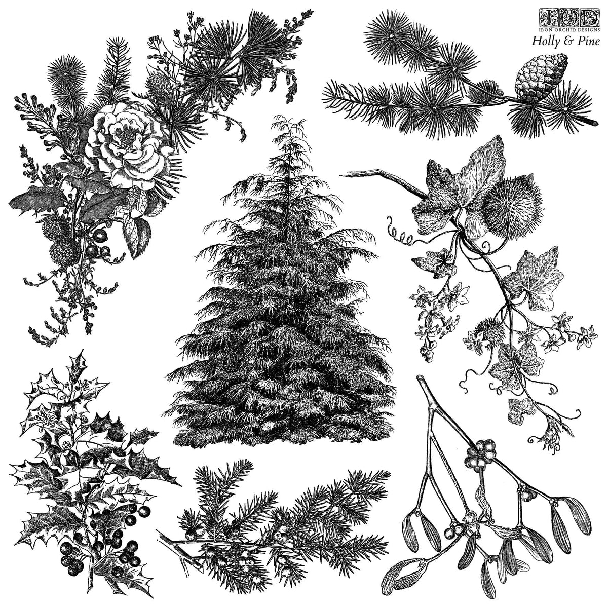 Holly & Pine 12X12 IOD Stamp - The Mustard Seed Collection, The Seed
