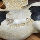 "Holy Cow" Ornament by Pete Apsit - The Mustard Seed Collection, The Seed