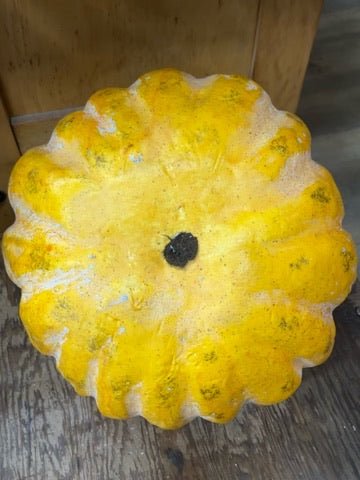Honeyed Harvest Pumpkin - The Mustard Seed Collection, The Seed