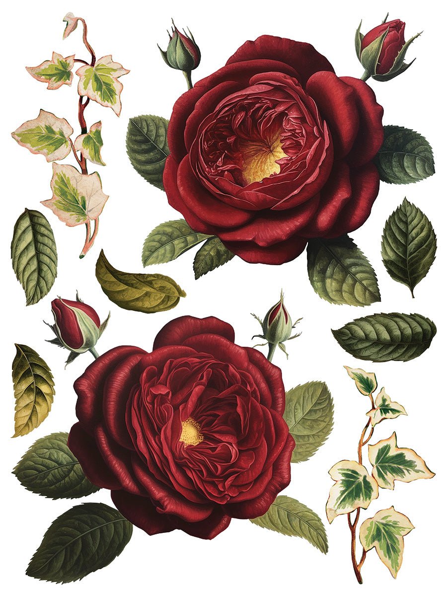 Joie des Roses IOD Transfer 12x16 Pad
