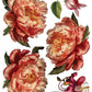 Joie des Roses IOD Transfer 12x16 Pad - The Mustard Seed Collection, The Seed